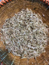 নদীর গুড়া চিংড়ি  — ছবি 2