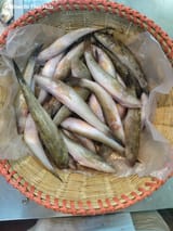 নদীর বাইলা — ছবি 1
