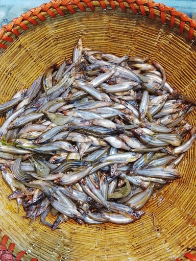 বাতাসী 