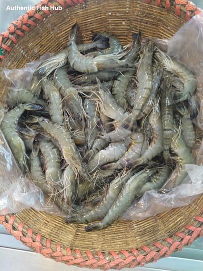 বাগদা চিংড়ি