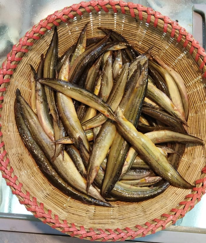 নদীর তারা বাইম বড় সাইজ(মিক্সড সাইজ) 