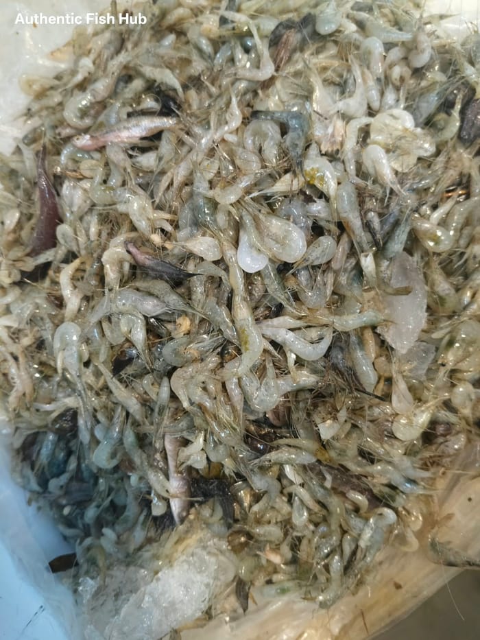 নদীর গুড়া চিংড়ি 