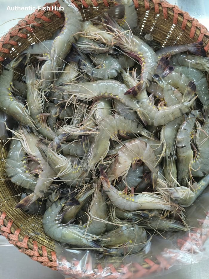 বাগদা চিংড়ি — Bagda Chingri