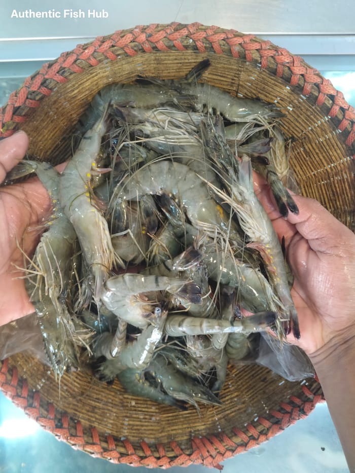 বাগদা চিংড়ি — Bagda Chingri