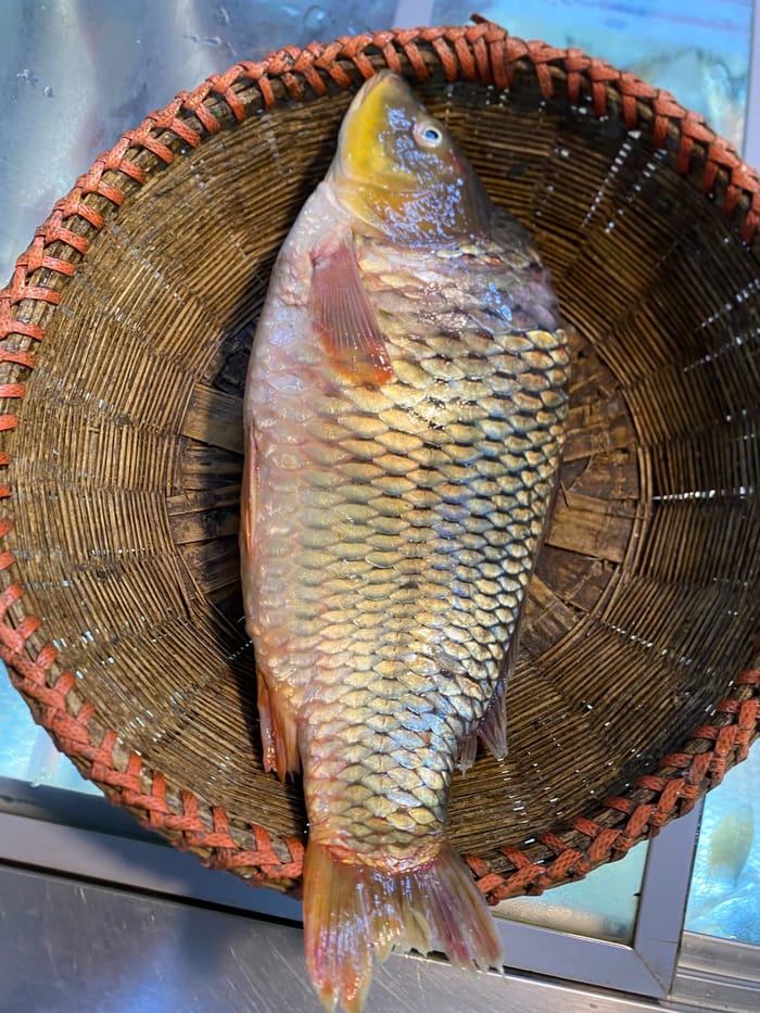 নদীর কার্ফু