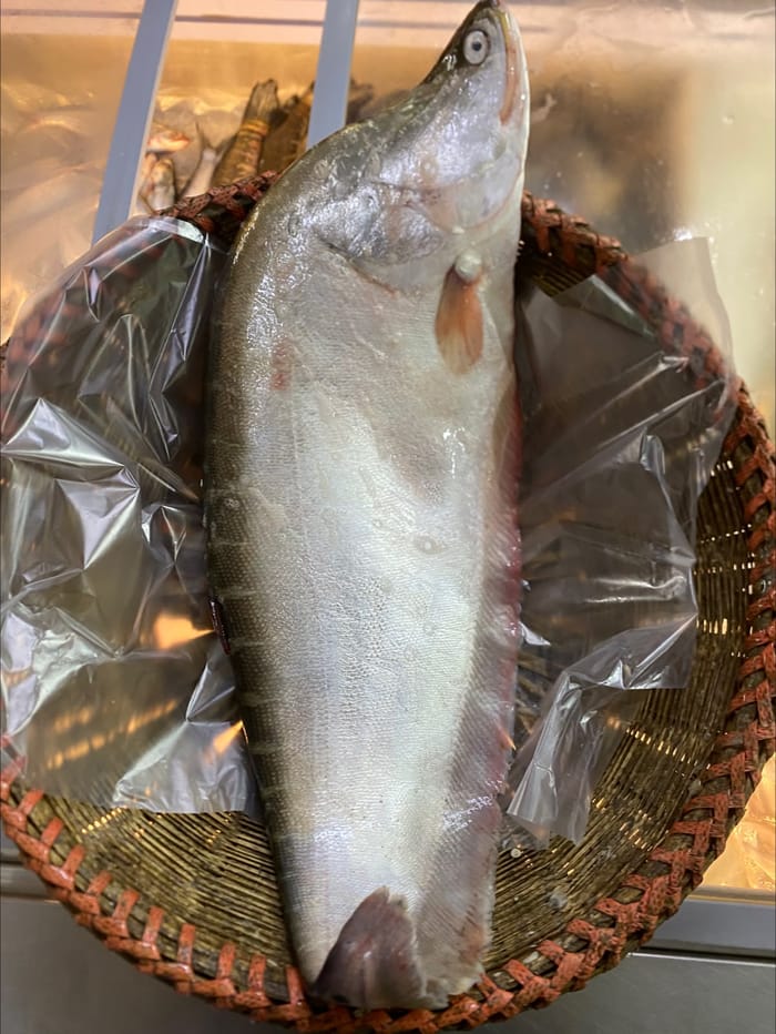 নদীর চিতল