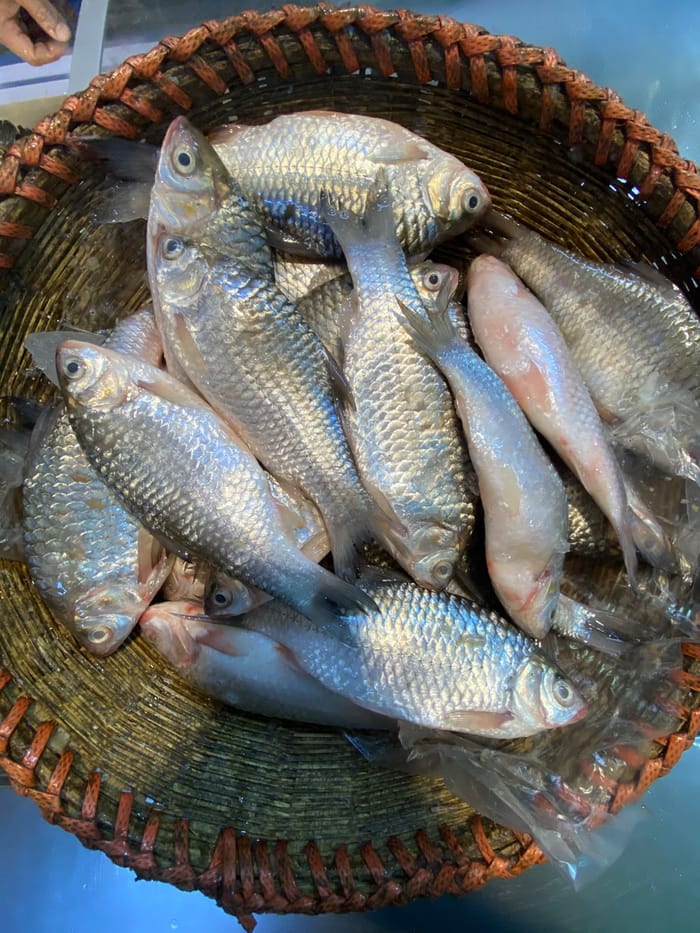 হাওড়ের ফুড়া