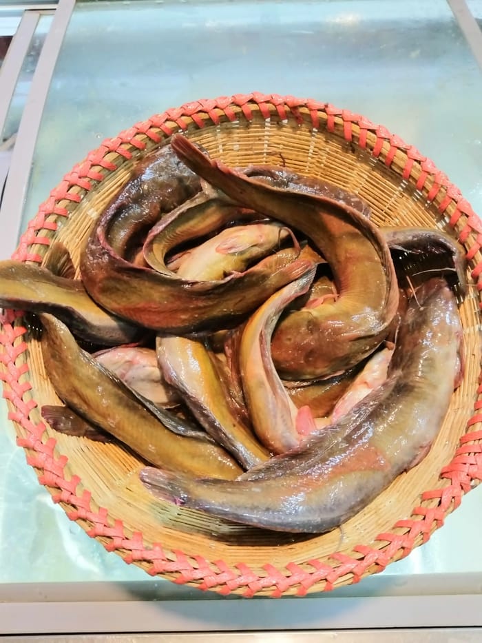 দেশী মাগুর